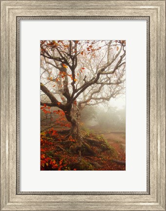 Framed Tree of Seasons Print