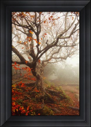 Framed Tree of Seasons Print