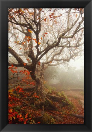 Framed Tree of Seasons Print