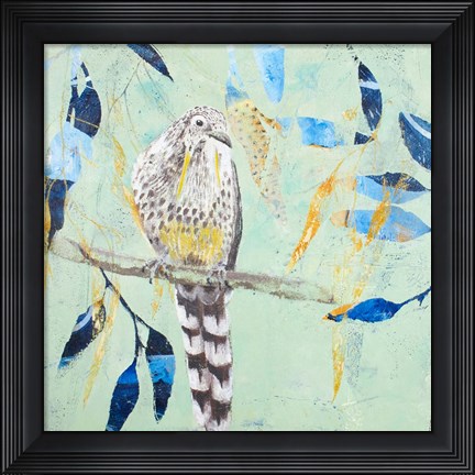 Framed Thoughtful Wattlebird Print