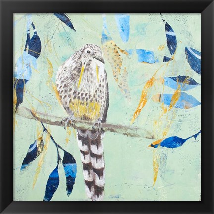 Framed Thoughtful Wattlebird Print