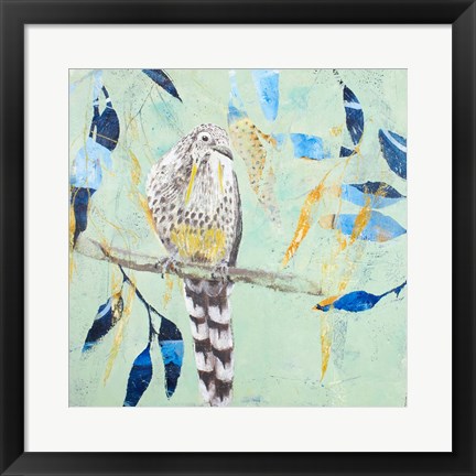 Framed Thoughtful Wattlebird Print