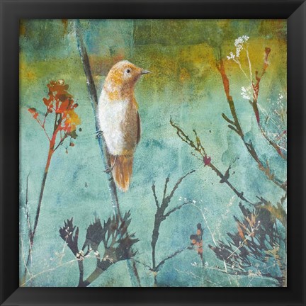 Framed Australian Reed Warbler Print