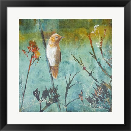 Framed Australian Reed Warbler Print