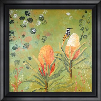 Framed New Holland Honeyeater upon the Victoria Print
