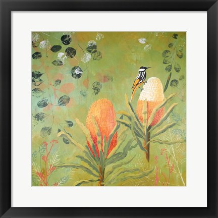 Framed New Holland Honeyeater upon the Victoria Print