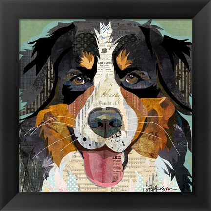 Framed Bernese Print