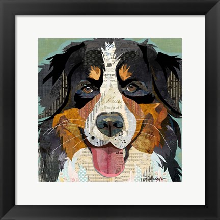 Framed Bernese Print