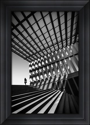 Framed Drifting Print