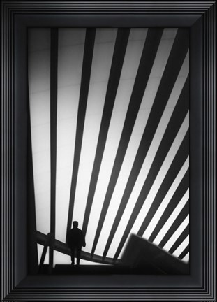 Framed Trails Print