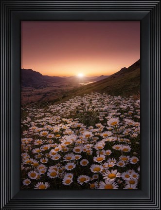 Framed Closer to the Sun Print
