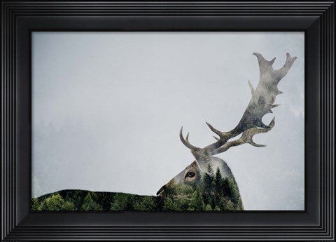 Framed Antler Double-exposed Print