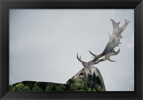 Framed Antler Double-exposed Print