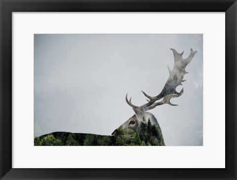 Framed Antler Double-exposed Print