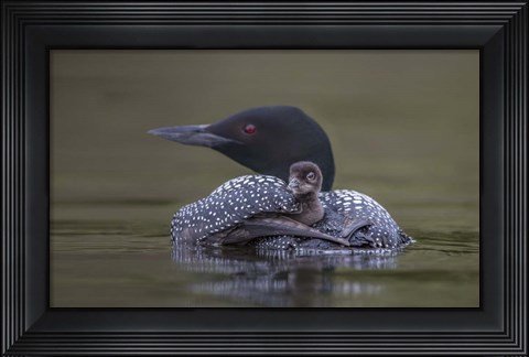 Framed Back Seat Print