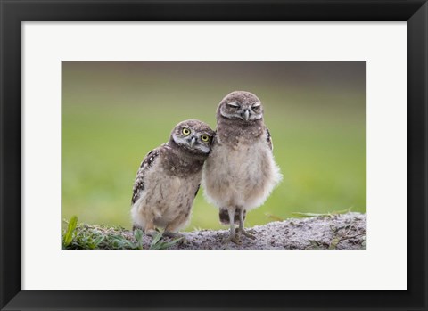 Framed Friends Print
