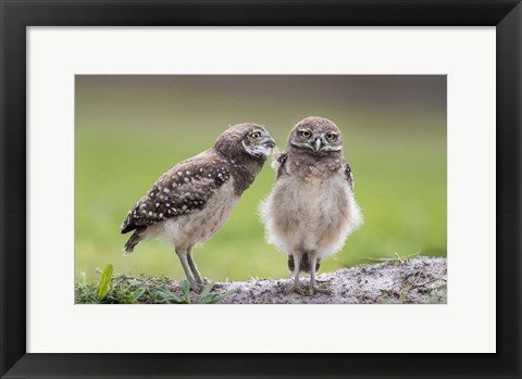 Framed Leave Me Alone! Print