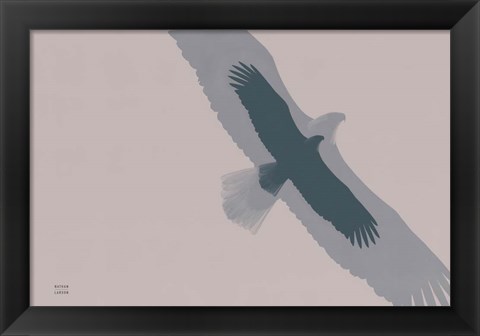 Framed Double Eagle Flight Print