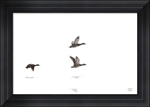 Framed Three Departing Print