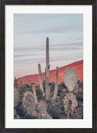 Framed Sunsets and Saguaros II Print