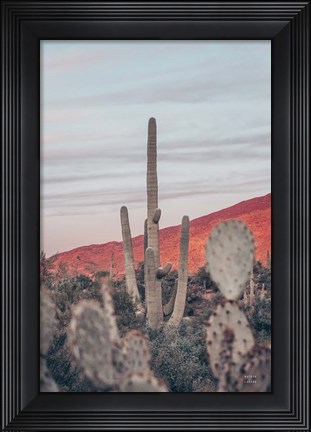 Framed Sunsets and Saguaros II Print