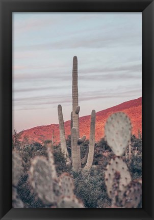 Framed Sunsets and Saguaros II Print