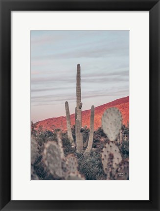 Framed Sunsets and Saguaros II Print