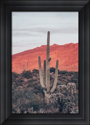 Framed Sunsets and Saguaros I Print