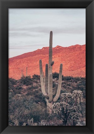 Framed Sunsets and Saguaros I Print