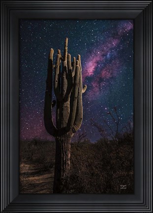 Framed Desert Nights Print