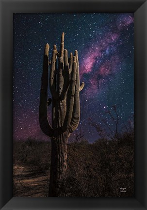 Framed Desert Nights Print