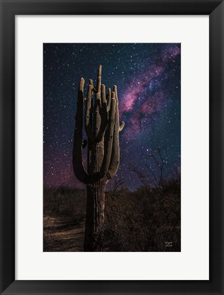 Framed Desert Nights Print