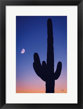 Framed Candy Rock Desert Print