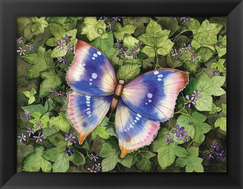 Framed Garden Butterfly Print