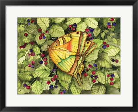 Framed Bountiful Butterfly Print