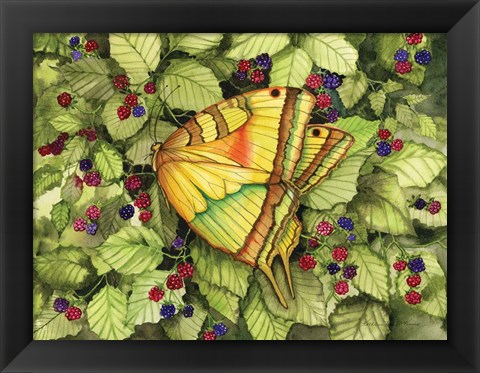 Framed Bountiful Butterfly Print