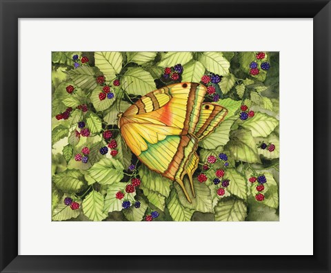 Framed Bountiful Butterfly Print