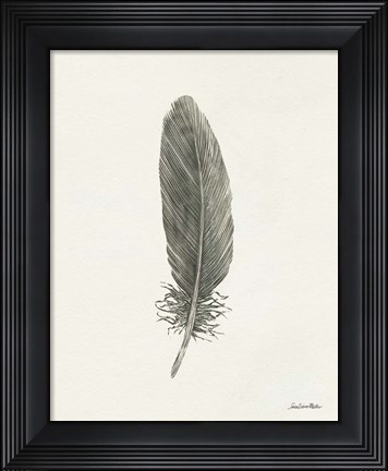 Framed Springtime Feather II Print