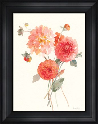 Framed Summer Dahlias II Print