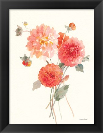 Framed Summer Dahlias II Print