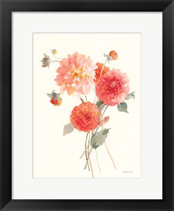 Framed Summer Dahlias II Print