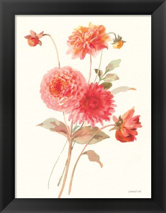 Framed Summer Dahlias I Print