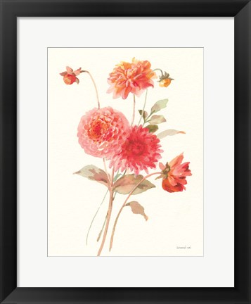 Framed Summer Dahlias I Print