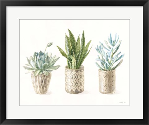 Framed Desert Greenhouse VII Print