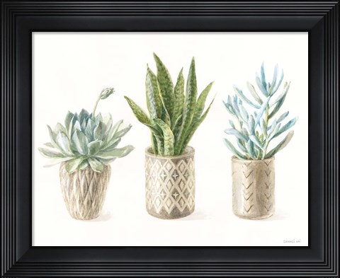 Framed Desert Greenhouse VII Print