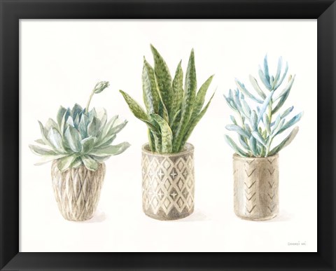 Framed Desert Greenhouse VII Print