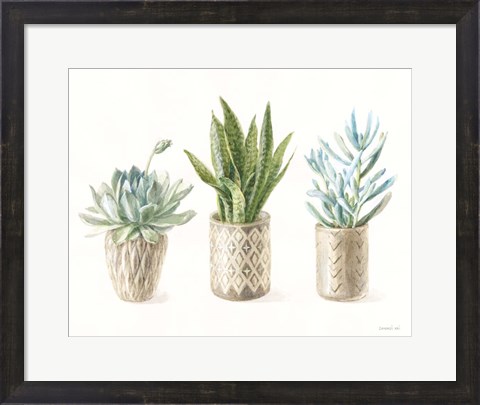 Framed Desert Greenhouse VII Print