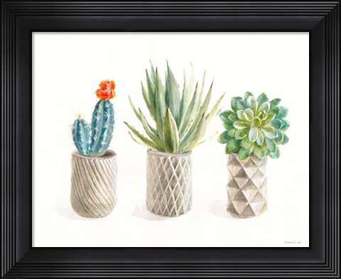 Framed Desert Greenhouse VIII Print