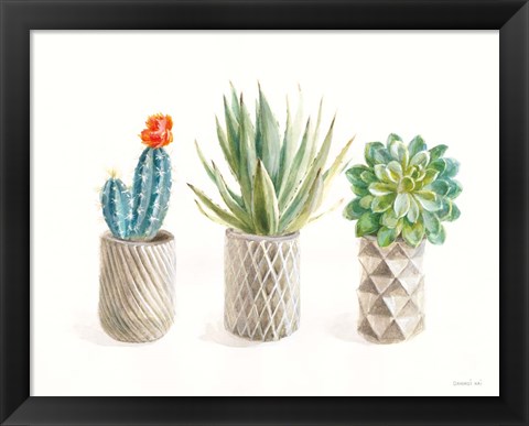 Framed Desert Greenhouse VIII Print