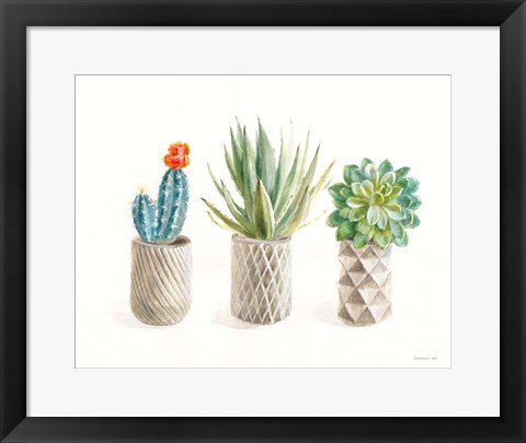 Framed Desert Greenhouse VIII Print